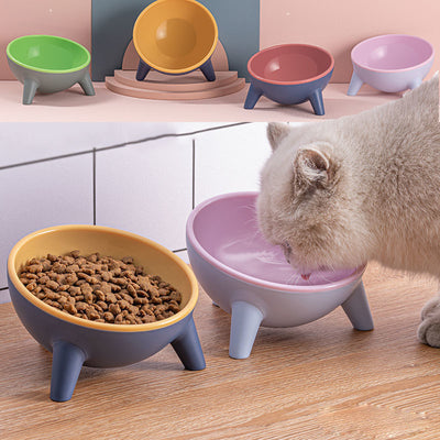 Elevated Pet Food Bowl with Stand